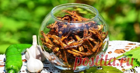 Вкуснейшая закуска - Сушеные баклажаны В детстве одни из самых полезных овощей были мне не по вкусу. Будь то запеканка или салат, кусочки баклажанов постепенно отодвигались мной на край тарелки, а потом выбрасывались. Съедать всё до последней крошки не получалось, как ни уговаривала мама. Но со временем она придумала хитрый способ включить баклажаны в мой рацион. К слову, прошло немало лет, и сегодня я обожаю