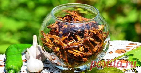 Вкуснейшая закуска - Сушеные баклажаны В детстве одни из самых полезных овощей были мне не по вкусу. Будь то запеканка или салат, кусочки баклажанов постепенно отодвигались мной на край тарелки, а потом выбрасывались. Съедать всё до последней крошки не получалось, как ни уговаривала мама. Но со временем она придумала хитрый способ включить баклажаны в мой рацион. К слову, прошло немало лет, и сегодня я обожаю