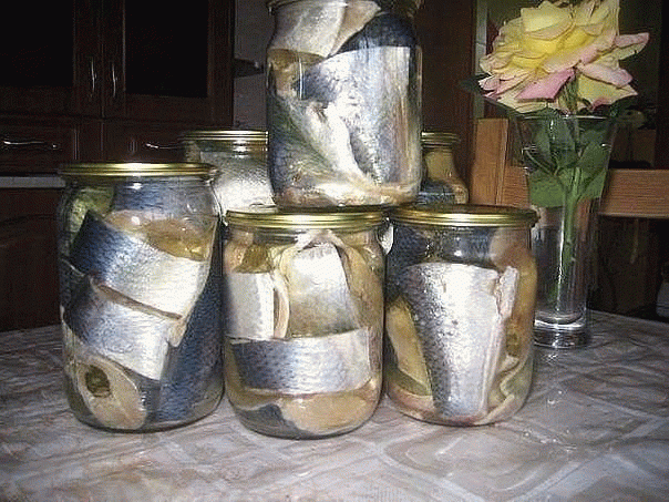 Мы уже давно не покупаем соленую скумбрию или селедку в магазине, домашняя засолка намного вкуснее, да и безопаснее. Потрясающая рыбка получается! Хочется еще, и еще... Рекомендую!          
Ингредиенты: 
 1 кг скумбрии ИЛИ селедки 
 0,5 литра воды 
 2 столовые ложки соли 
 1 столовая ложка сахара 
 Лавровый лист и черный перец горошком 
Рецепт приготовления: 
Налить воду в кастрюлю и поставить на огонь. Добавить соль и сахар, довести до кипения. Добавить лавровый лист и