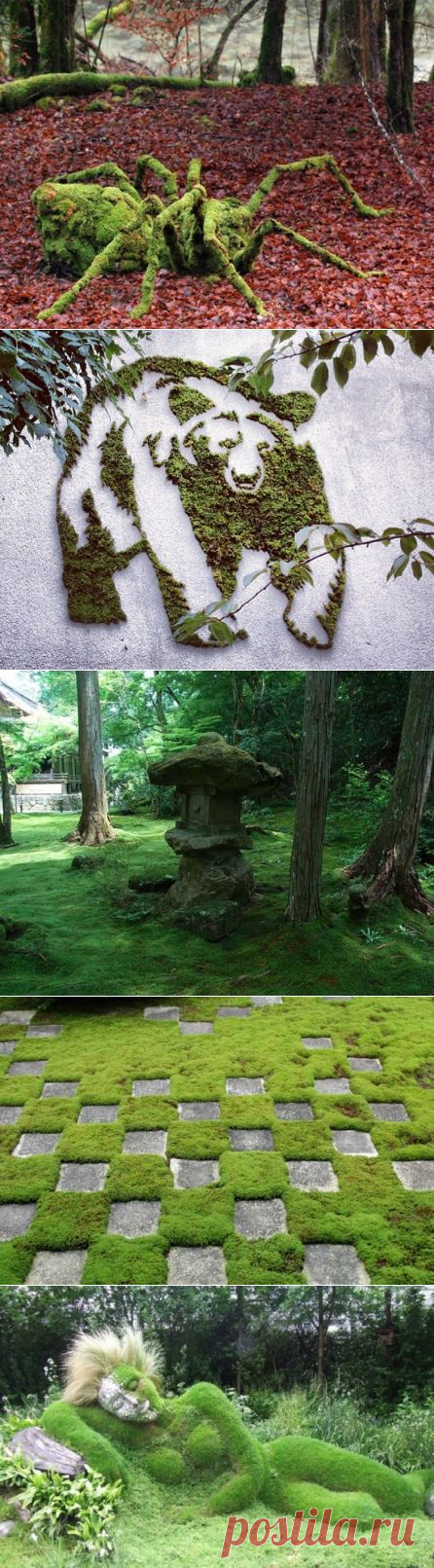 Мох как эелемент декора в саду - Садоводка