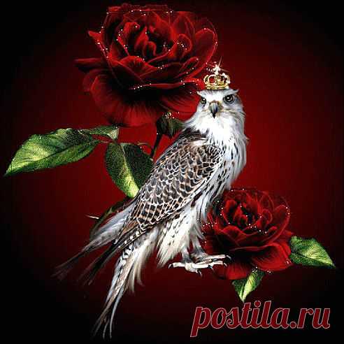 (2) Одноклассники