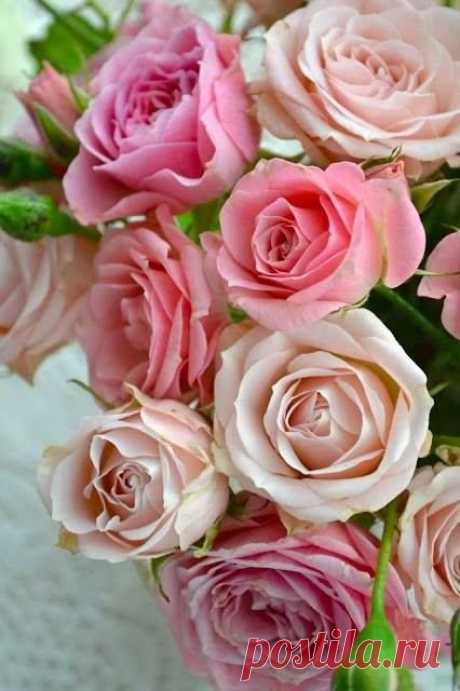 Чудесные цветы. Beautiful flowers