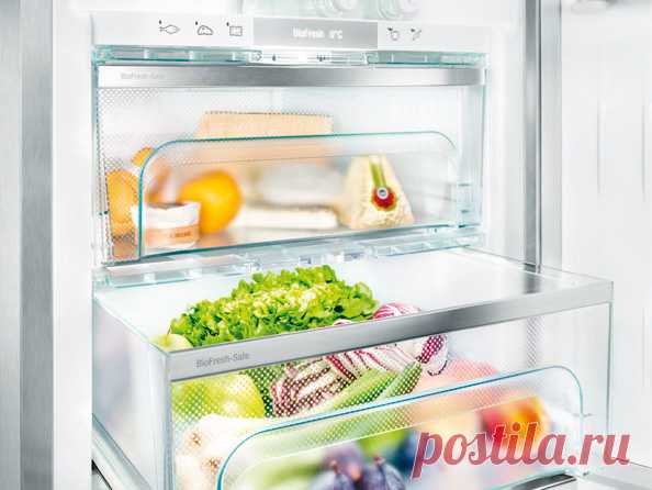 10 самых полезных продуктов для мозга