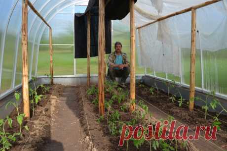 (1) Одноклассники