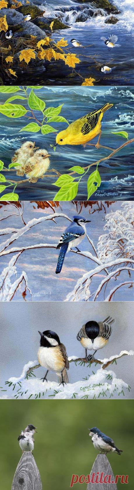 Нет в природе лишних дуновений. Художница Carol Decker. Птицы .