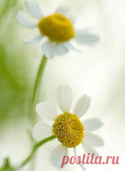 Доброе утро! / Вязание как искусство!