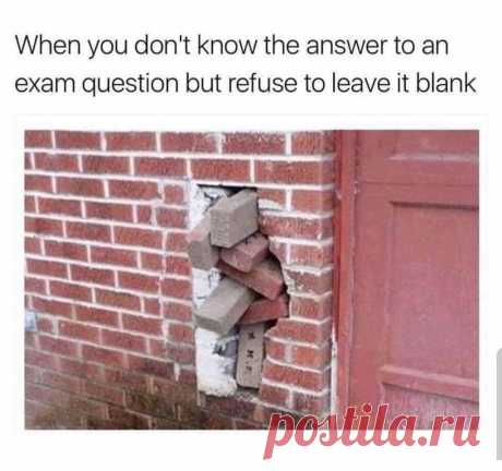 When You Don't Know The Answer | Gag Bee

#funny #memes #girls #boys #gagbee