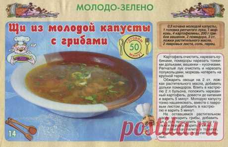 Щи из молодой капусты с грибами