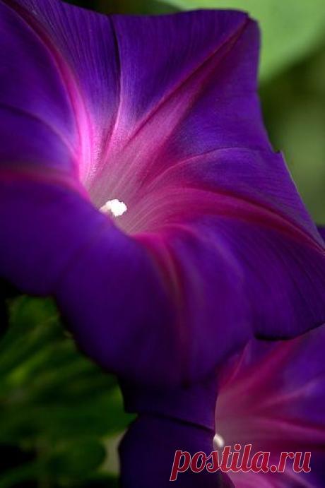 (24) Pinterest: инструмент для поиска и хранения интересных идей