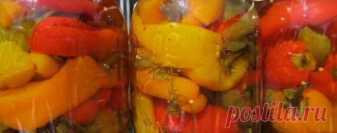 Маринованный перец в масле с чесноком на зиму - 5 рецептов с пошаговыми фото