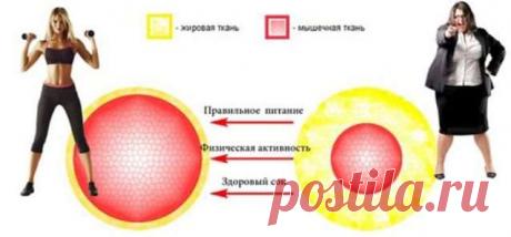 Как похудеть без спортзала | Делимся советами