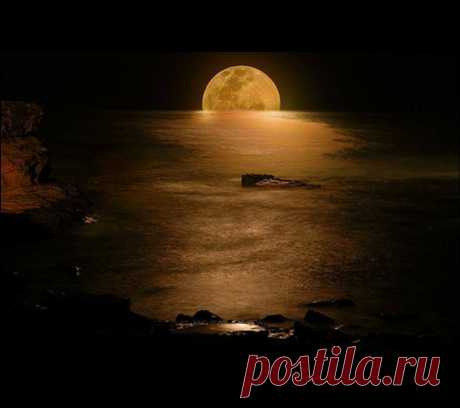 ՎԵՐՋԱԼՈՒՅՍԻ ՄԵՋ
Վերջալույսի մեջ թառամած,
Ուր սերերն են մեղմ երերում,
Քո շղթայված հուշն է հիմա`
Մեր նահանջող շուքից հեռու:

Օ~,հուշերի'ն գերի ձեռքեր,
Տաք ու կիզիչ,ինչպես խարույկ,
Որտեղ վերջին փյունիկը ծեր`
Սև վախճանն է հանգիստ թառում:

Օղակ-օղակ հյուծվող շղթա...
Հեգնանքիդ հուշը ոխերիմ
Չքանում է,և ես ահա
Լուռ ընկնում եմ քո ծնկներին:
ԳԻՅՈՄ ԱՊՈԼԻՆԵՐ