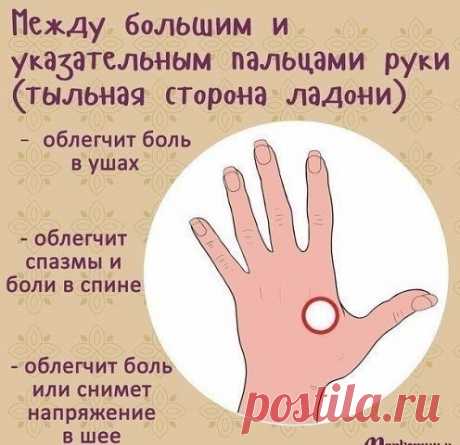 Дзен