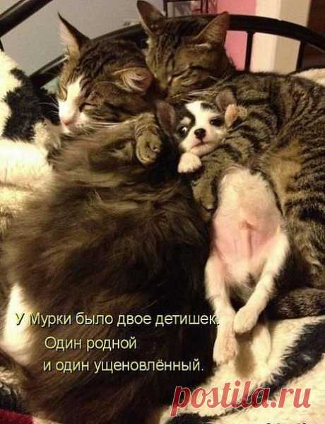 Лилия Советкина | ВКонтакте