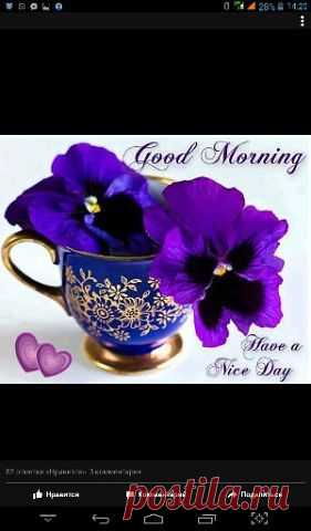 СОБРАНИЕ СПЕКТАКЛЕЙ И ТЕЛЕВИЗИОННЫХ СПЕКТАКЛЕЙ