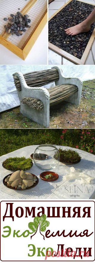 Домашняя Экодемия ЭкоЛеди