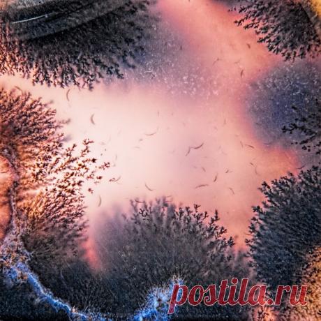 Fishki.net - Сайт хорошего настроения