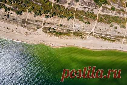 На курорте Украины испортили автомобили с российскими номерами. На курорте Украины, в городе Бердянске, неизвестные разрисовали краской автомобили с российскими номерами. Вандалы испортили два автомобиля, припаркованных возле одного из местных отелей. Неизвестные закрасили красной краской номерные знаки автомобилей и оставили на них надписи.