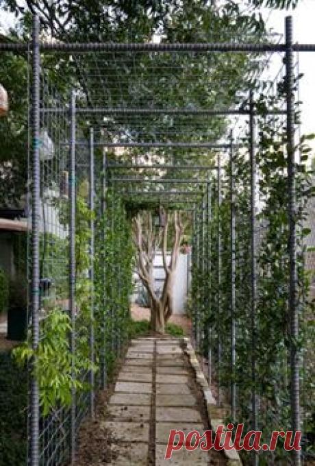 (460) Pinterest • Всемирный каталог идей