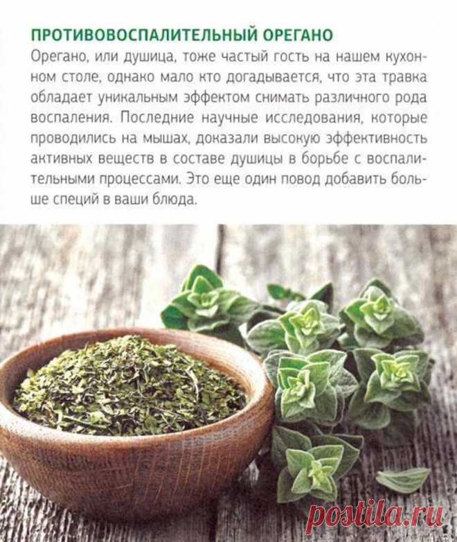 Противовоспалительный орегано (душица)