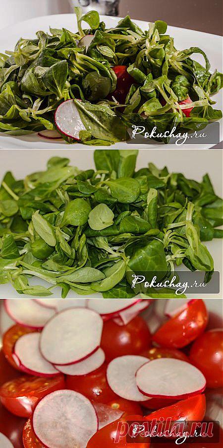 Салат с томатами «Черри» и редисом / рецепт с фото