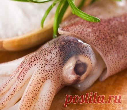 Салат с кальмарами «Brise de mer» - пошаговый рецепт с фото