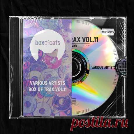 VA - Box of Trax Vol. 11 BOC197DJ AIFF » MinimalFreaks.co