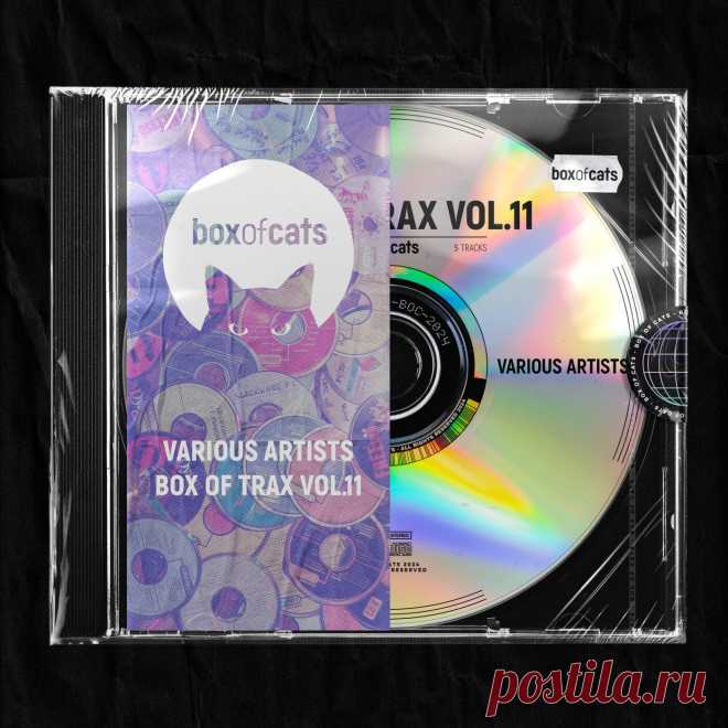 VA - Box of Trax Vol. 11 BOC197DJ AIFF » MinimalFreaks.co