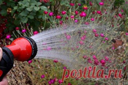 Найден способ очистить окружающую среду от опасных бытовых химикатов. Ученые из Университета штата Огайо нашли способ очистить окружающую среду от опасных бытовых химикатов PFAS. Они предлагают воздействовать на частицы ультразвуком, что будет приводить к расщеплению составляющих их молекул. Метод может применяться против различных типов и концентраций PFAS.