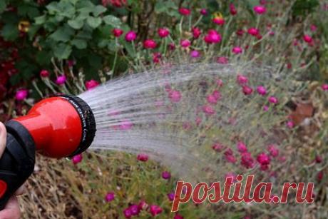 Найден способ очистить окружающую среду от опасных бытовых химикатов. Ученые из Университета штата Огайо нашли способ очистить окружающую среду от опасных бытовых химикатов PFAS. Они предлагают воздействовать на частицы ультразвуком, что будет приводить к расщеплению составляющих их молекул. Метод может применяться против различных типов и концентраций PFAS.