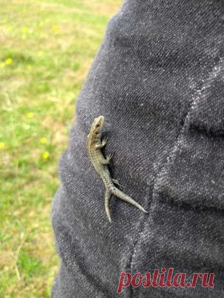 Фотодоказательства того, что природа может удивить даже тех, кто видел всё