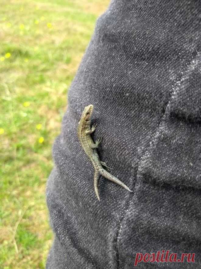 Фотодоказательства того, что природа может удивить даже тех, кто видел всё