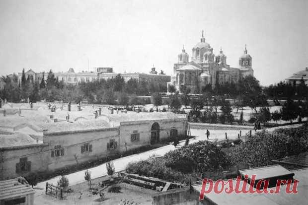 (35) Как Хрущев обменял русскую землю на еврейские апельсины - Вся история - 1 мая - 43679218649 - Медиаплатформа МирТесен