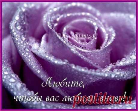 Аудиозаписи Юрия Пахомова | 284 аудиозаписи