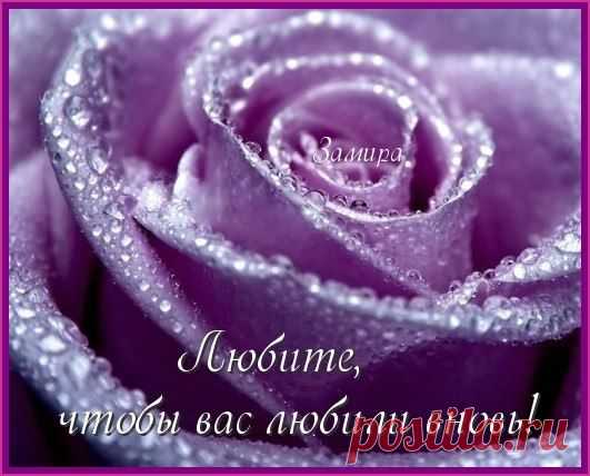 Аудиозаписи Юрия Пахомова | 284 аудиозаписи