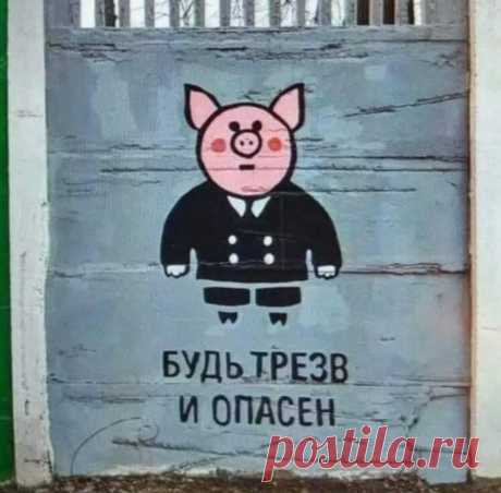 Boris Pogoriller (@BPogoriller) / Twitter
