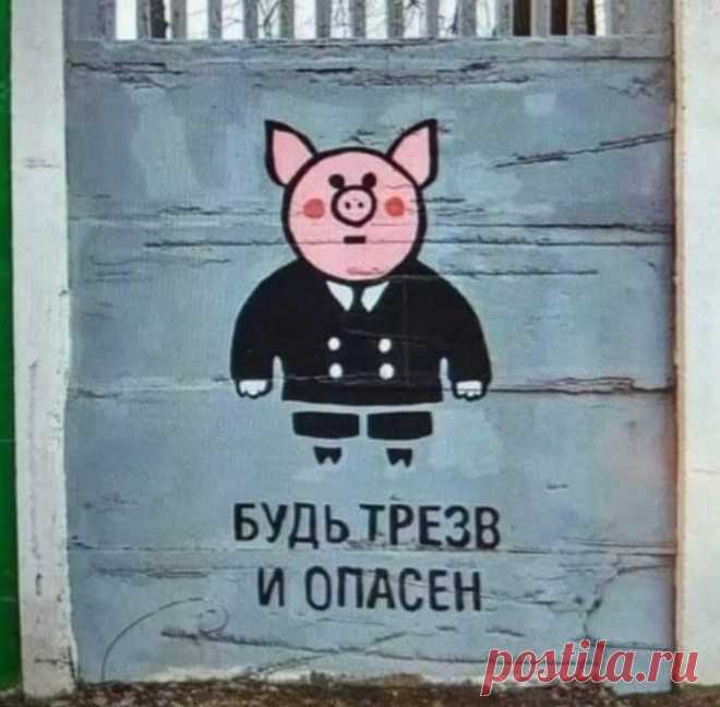 Boris Pogoriller (@BPogoriller) / Twitter