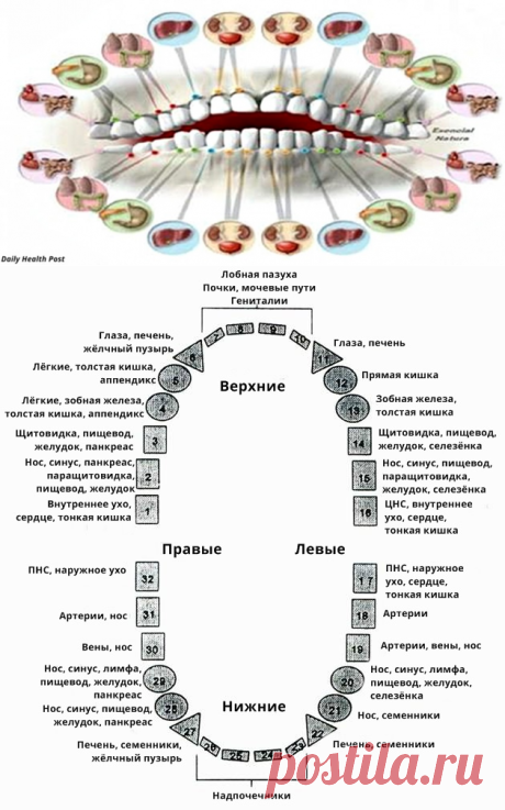О каких проблемах со здоровьем говорит больной зуб | Болтай
