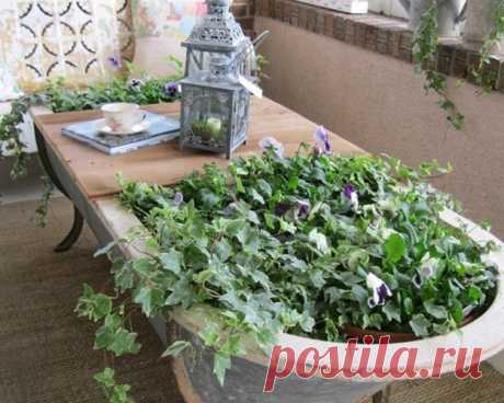 Как быстро, стильно и бюджетно украсить дачу: 5 советов, 50 идей