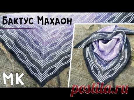 Мастер-класс бактус МАХАОН