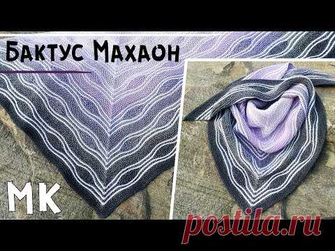 Мастер-класс бактус МАХАОН