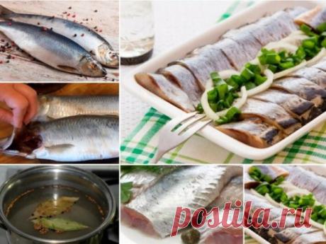 СЕЛЁДКА ДОМАШНЕГО ПОСОЛА 
Универсальный рецепт вкусной селёдки домашнего посола, сохраняйте обязательно 
ИНГРЕДИЕНТЫ:
На 2 рыбки:
250 мл воды кипяченой прохладной воды
гвоздика 3 штучки
кориандр зерна 0,5 ч л
соль 1,5-2 ч л
сахар 0,5 ч л
лавр лист 2 шт
перец черный горошек 6 шт
ГОТОВИМ:
В воде растворяем полностью соль и сахар. Рыбку почистить, порезать кусочками, сложить в ёмкость, посыпать специями и залить водой. Убрать в холодильник на 1,5-2 суток.
Подавать с маслицем ...