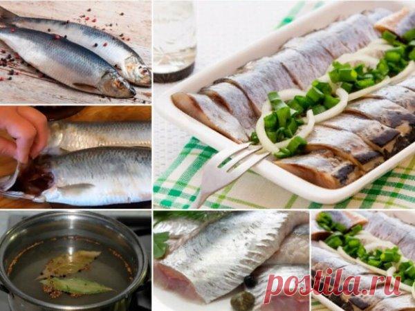 СЕЛЁДКА ДОМАШНЕГО ПОСОЛА 
Универсальный рецепт вкусной селёдки домашнего посола, сохраняйте обязательно 
ИНГРЕДИЕНТЫ:
На 2 рыбки:
250 мл воды кипяченой прохладной воды
гвоздика 3 штучки
кориандр зерна 0,5 ч л
соль 1,5-2 ч л
сахар 0,5 ч л
лавр лист 2 шт
перец черный горошек 6 шт
ГОТОВИМ:
В воде растворяем полностью соль и сахар. Рыбку почистить, порезать кусочками, сложить в ёмкость, посыпать специями и залить водой. Убрать в холодильник на 1,5-2 суток.
Подавать с маслицем ...