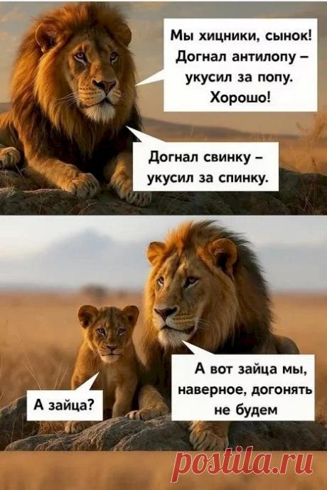 54a78528.jpg (467×699)