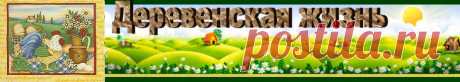 Утки | Деревенская жизнь