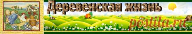 Утки | Деревенская жизнь