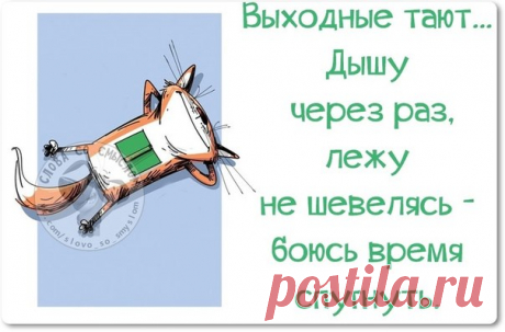 Позитивные фразочки в прикольных картинках