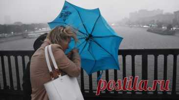 Москвичей предупредили о дожде, грозе и сильном ветре во вторник