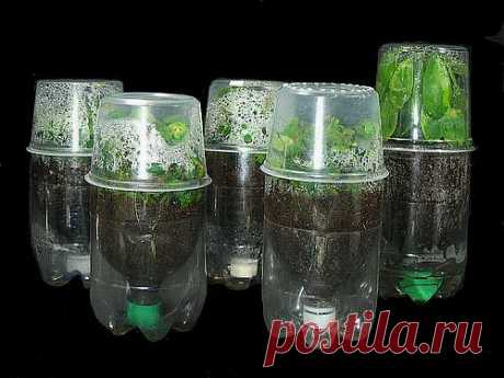 идея дачнику.