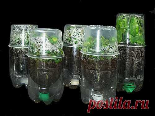 идея дачнику.